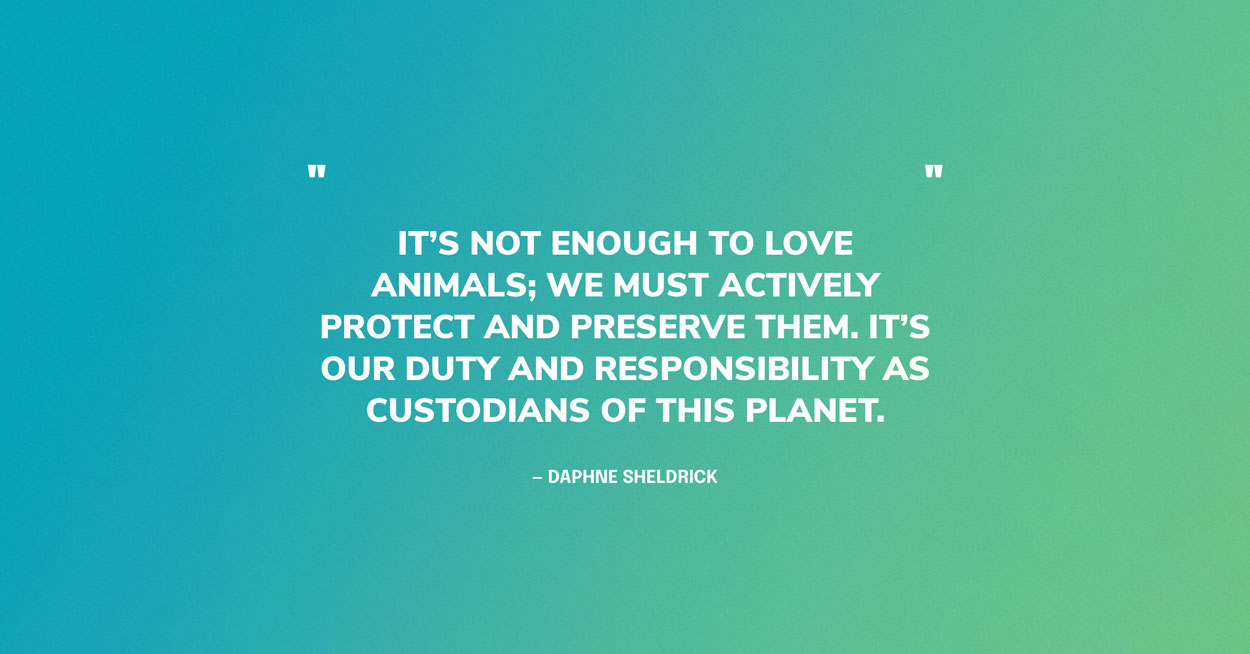 Animal Rights Quotes Graphics: It’s not enough to love animals; we must actively protect and preserve them. It’s our duty and responsibility as custodians of this planet. — Daphne Sheldrick