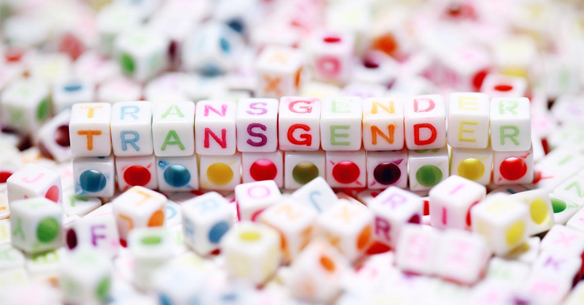 Color cubes spelling the word transgender surrounded by other cubes