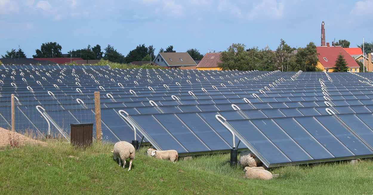 A field of solar panels 