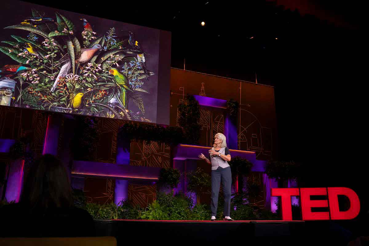 Isabella Kirkland stands on stage at TED, facing a screen with a botanical oil painting