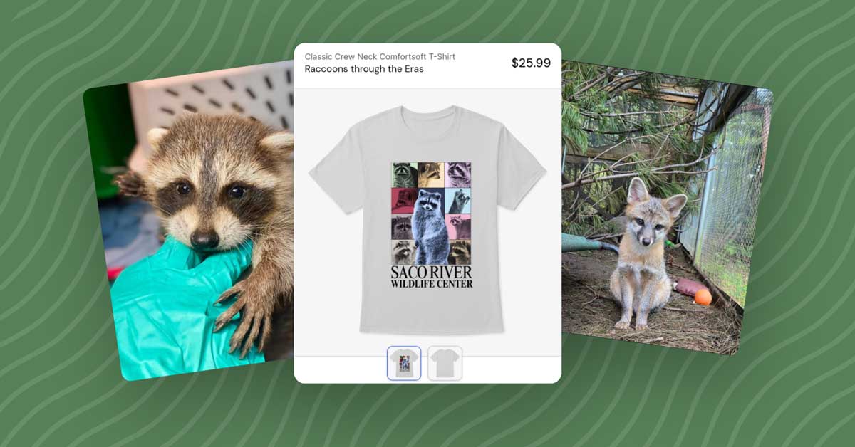 A baby raccoon, a screenshot of a t-shirt, and a baby fox