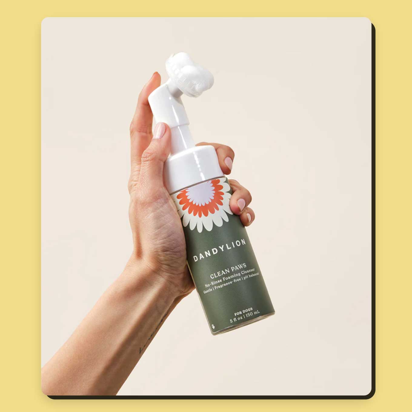 A hand holding up a bottle of Dandylion Paw Cleanser