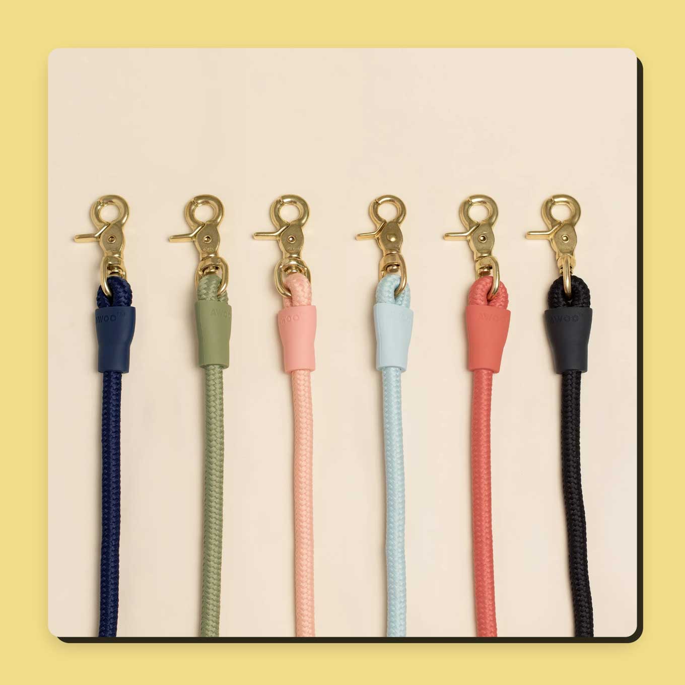 6 dog leashes in different colors