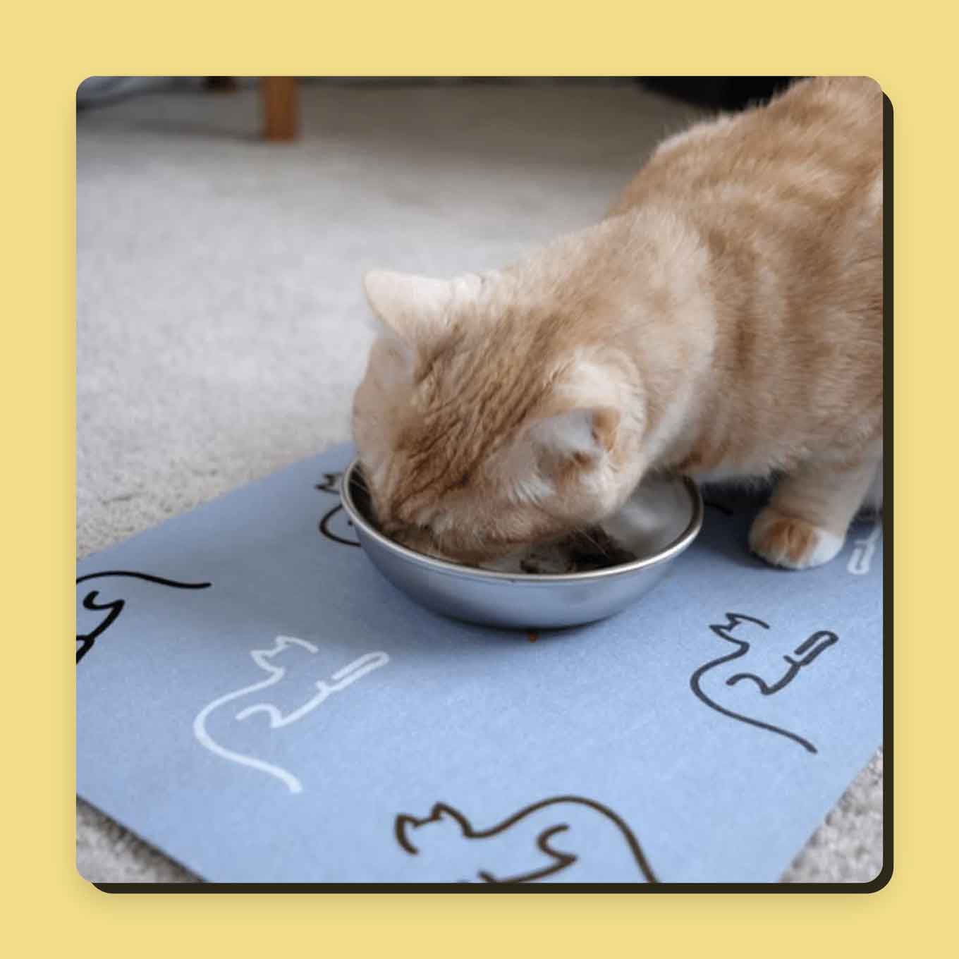 A cat eats from a bowl on top of a blue mat