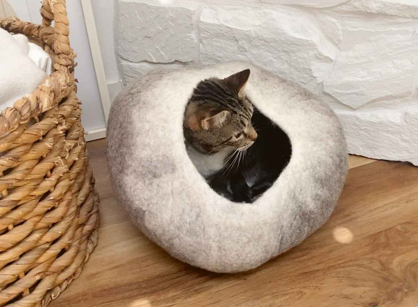 A cat rests in a cat cave