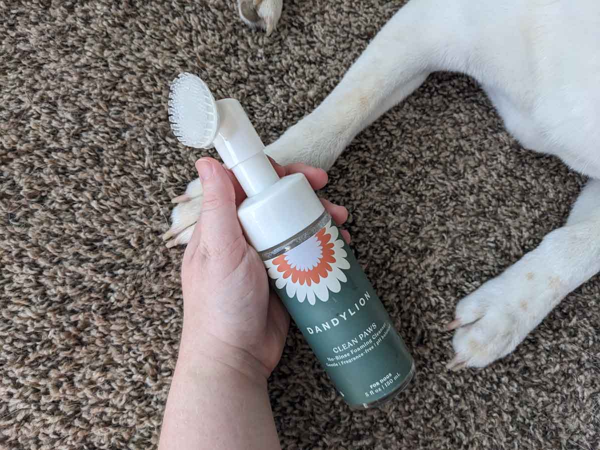 A dog's paws rest on carpet next to a bottle of Dandylion paw cleanser