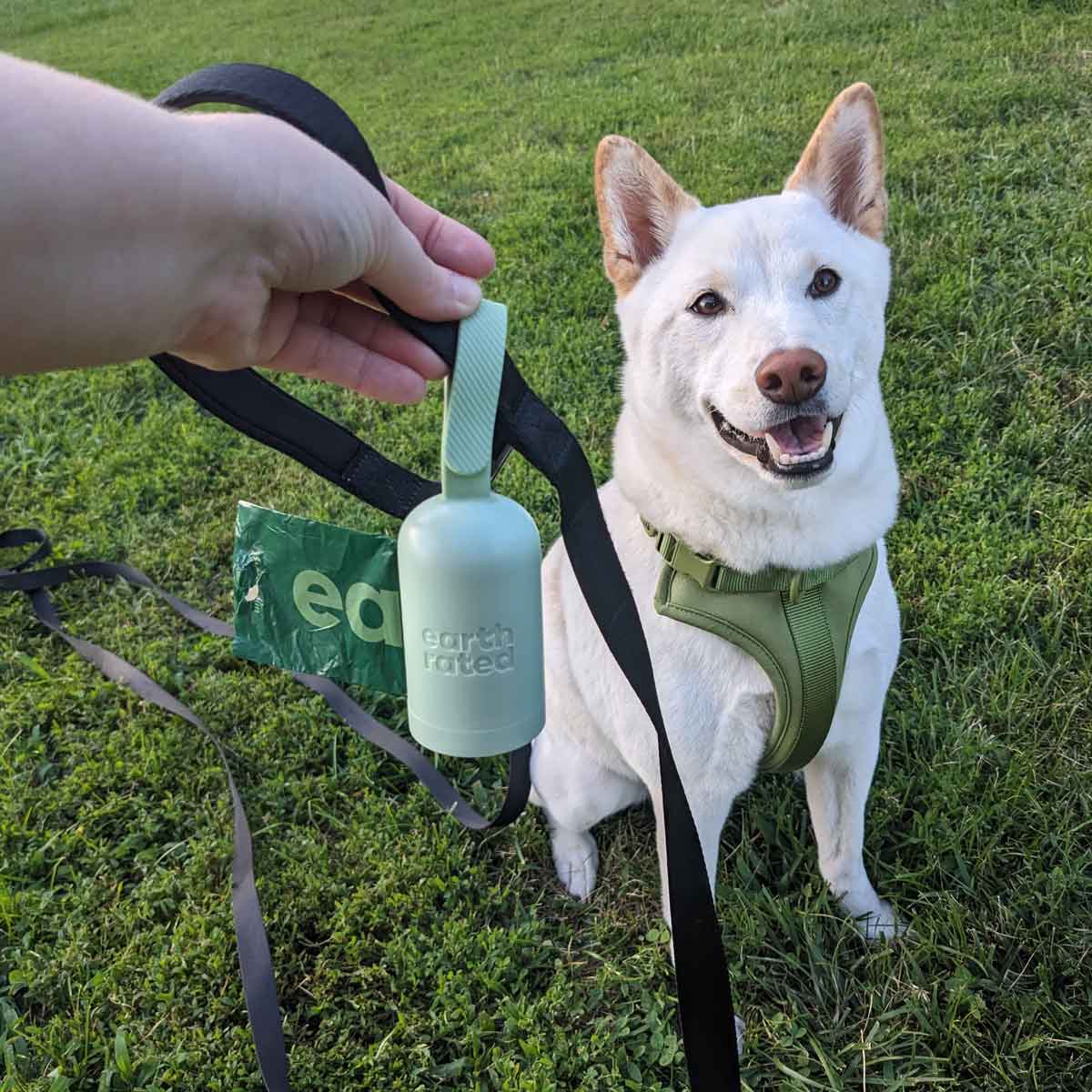 A cream shiba inu sits in the grass as his owner holds up a poop bag dispenser