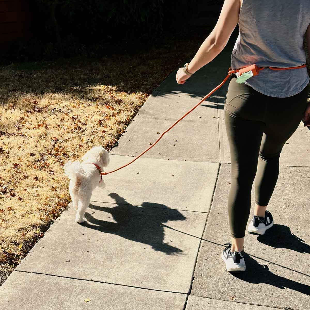 A white dog walks next to her owner, wearing a coral leash