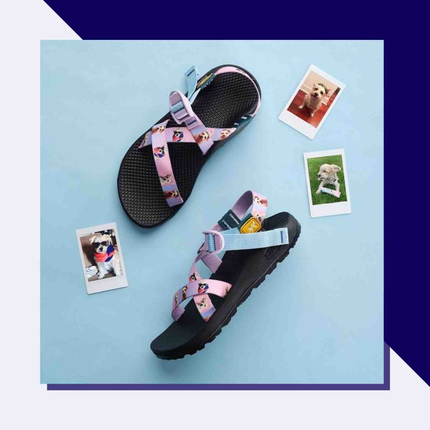 A Pair Of Custom Designed Shaco Sandals With Pictures Of Cute And Funny Dogs