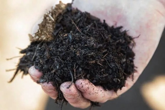 A handful of home compost
