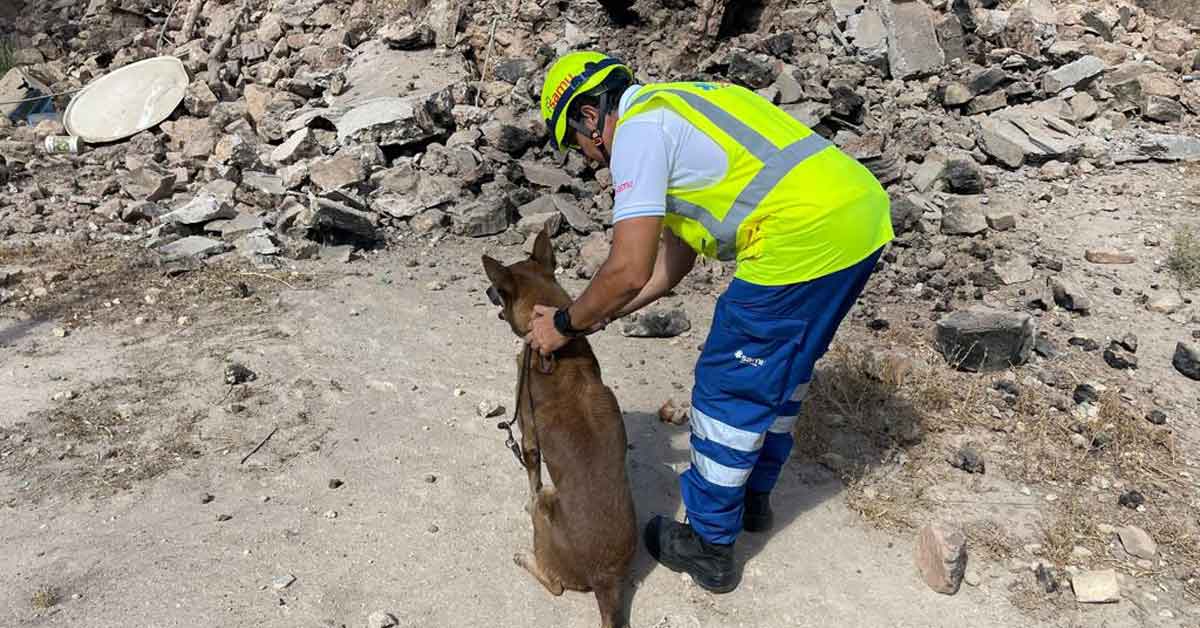 A man in a neon yellow vest pets a dog next to a pile of rubble