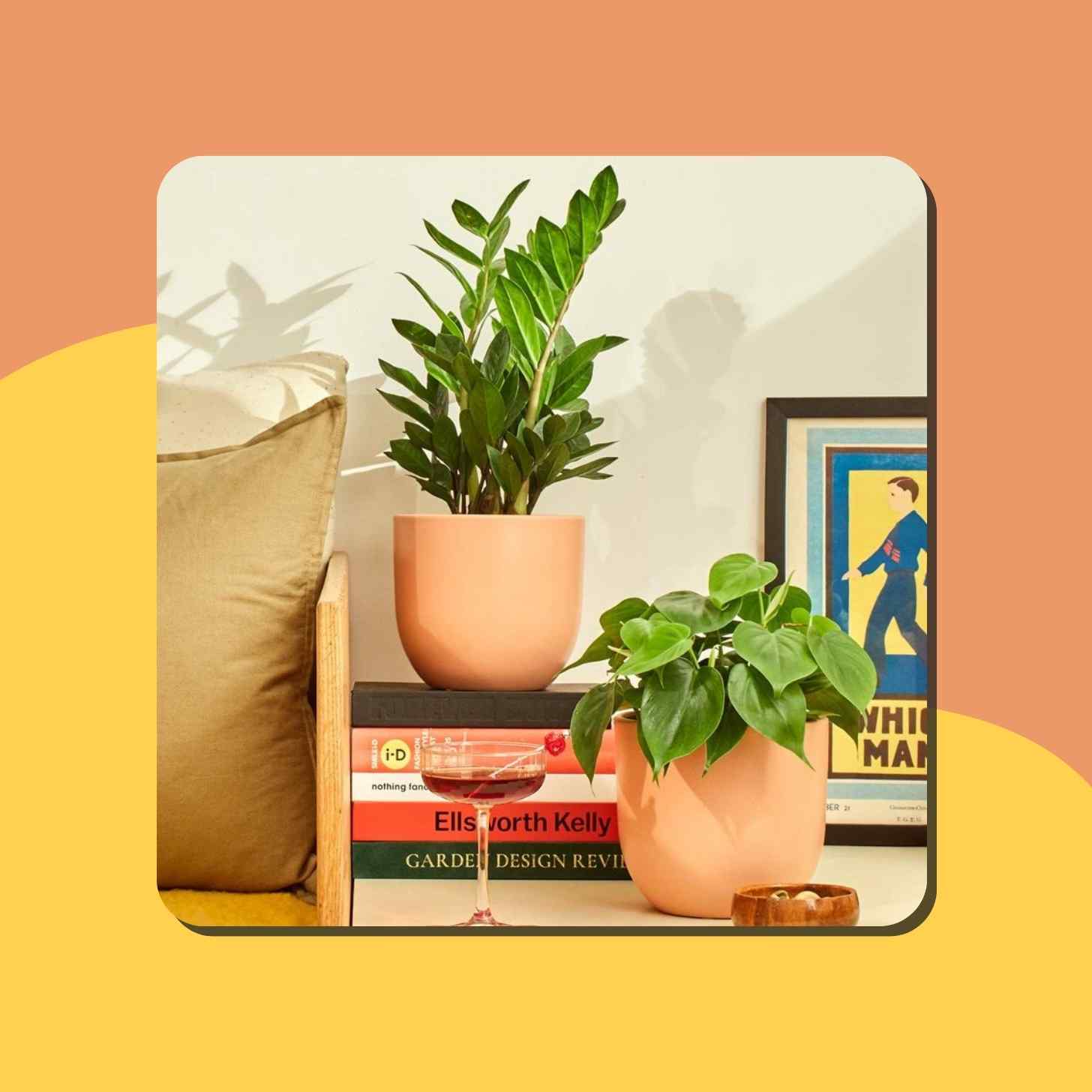 Two Potted Plants On Top Of A Stack Of books On A Table Next To A Couch