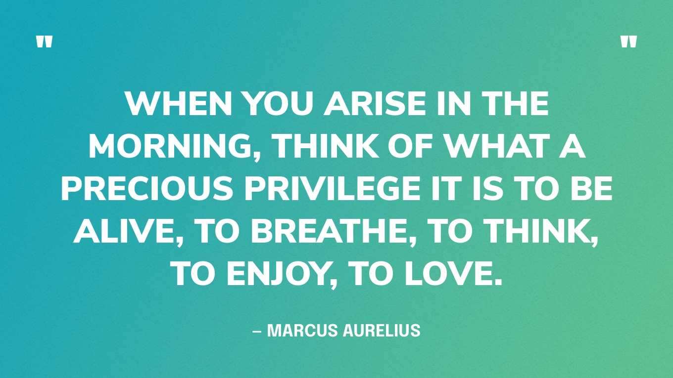 “When you arise in the morning, think of what a precious privilege it is to be alive, to breathe, to think, to enjoy, to love.” — Marcus Aurelius