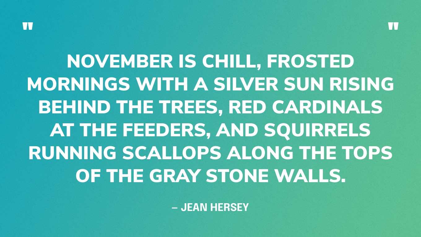 “November is chill, frosted mornings with a silver sun rising behind the trees, red cardinals at the feeders, and squirrels running scallops along the tops of the gray stone walls.” — Jean Hersey