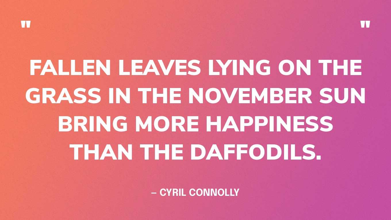 “Fallen leaves lying on the grass in the November sun bring more happiness than the daffodils.” — Cyril Connolly