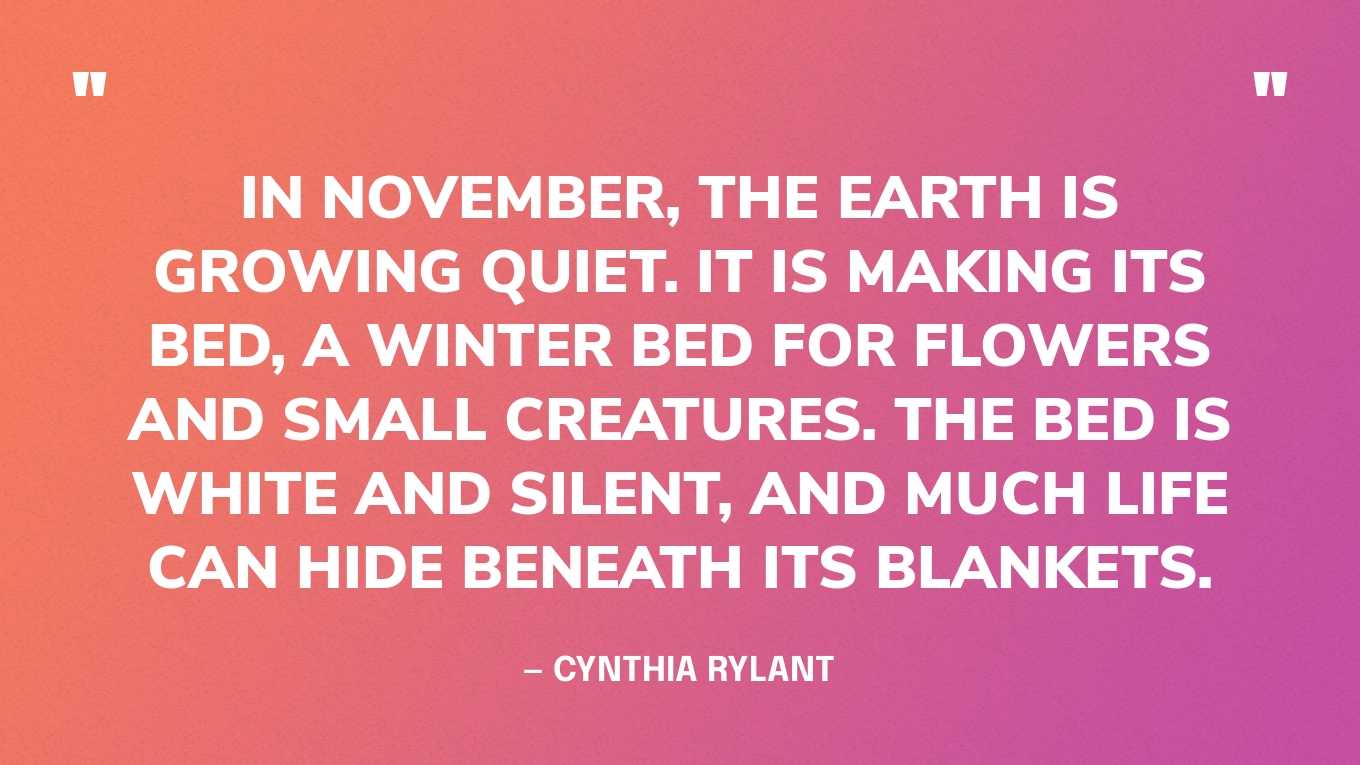 “In November, the earth is growing quiet. It is making its bed, a winter bed for flowers and small creatures. The bed is white and silent, and much life can hide beneath its blankets.” — Cynthia Rylant