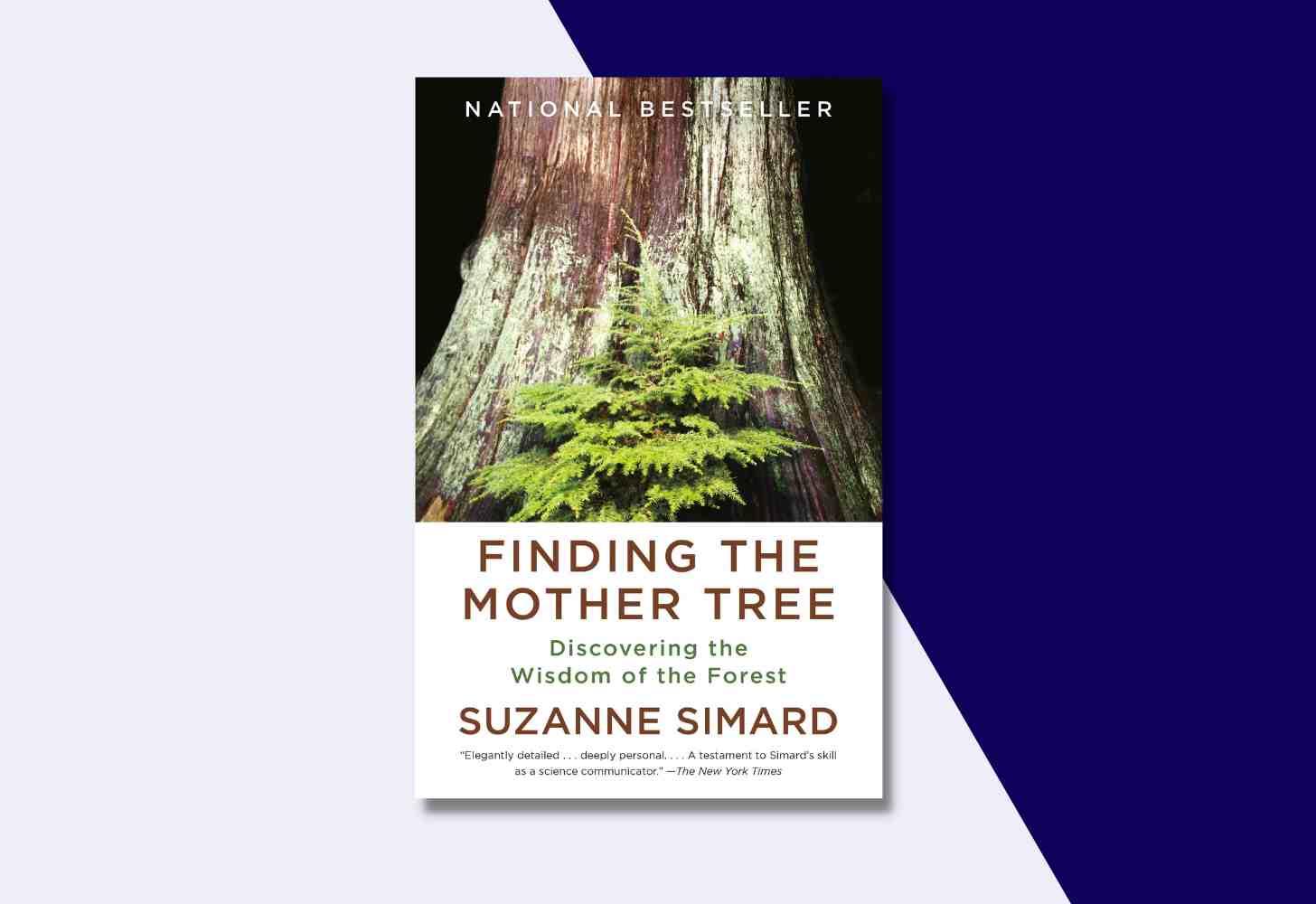 The Cover Of: “Finding the Mother Tree: Discovering the Wisdom of the Forest” by Suzanne Simard
