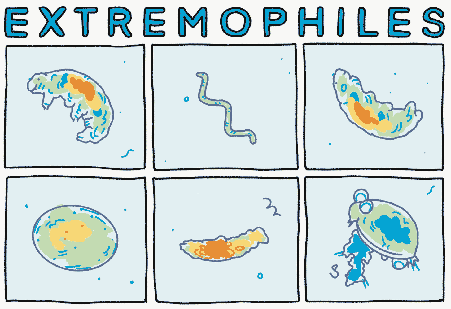 Illustrations of extremophiles which live on Antarctica, as originally photographed by Ariel Waldman 